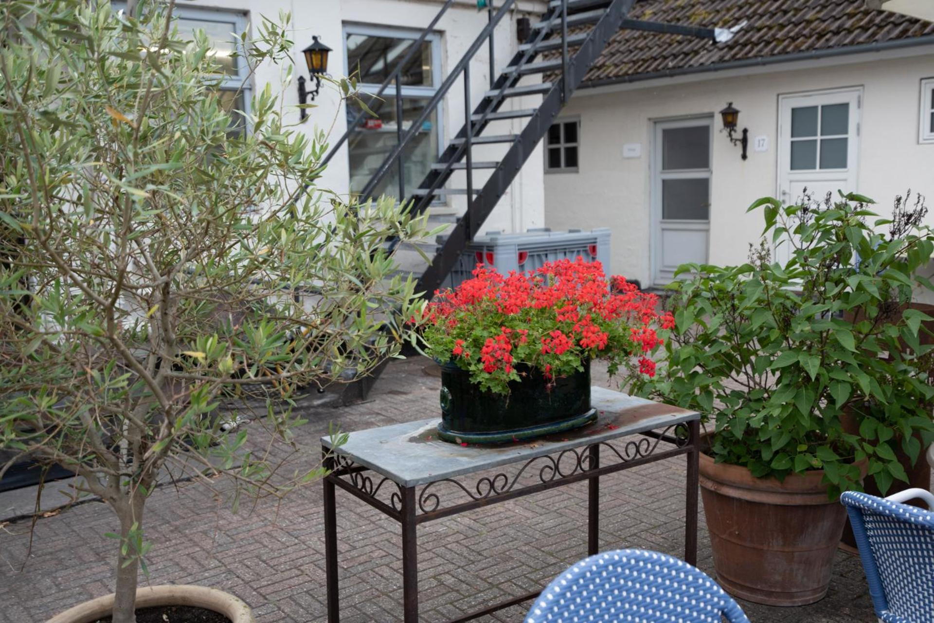 Rodvig Kro Og Badehotel エクステリア 写真